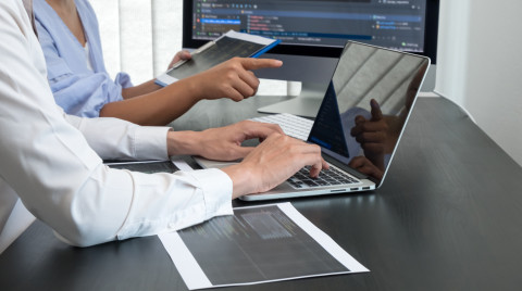 Software development