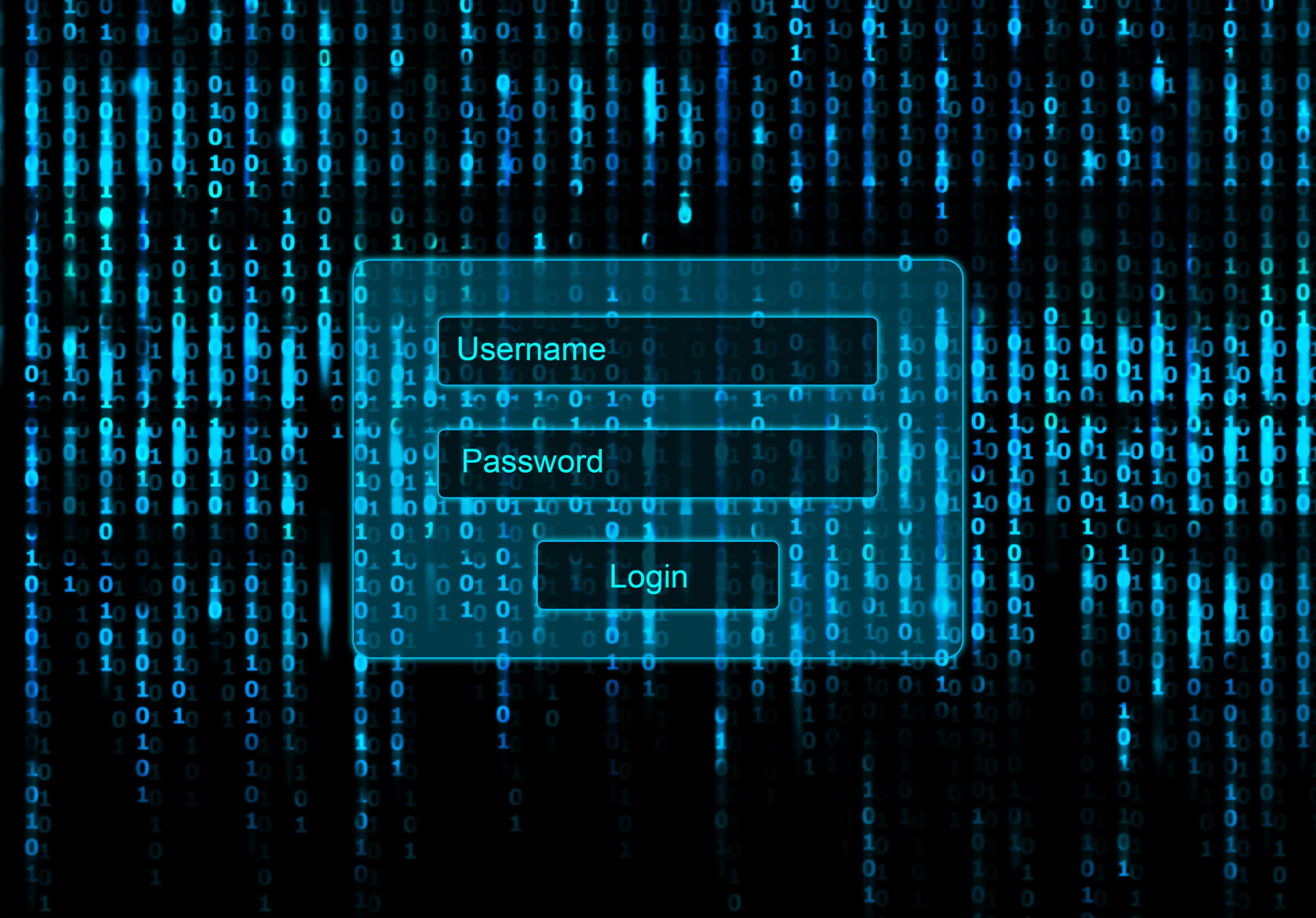 Software